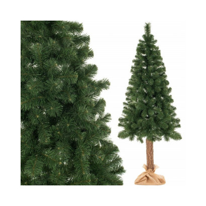 Vianočný stromček Borovica na kmienku 180 cm