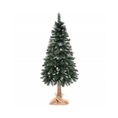 Vianočný stromček Borovica diamantová na kmienku 180 cm