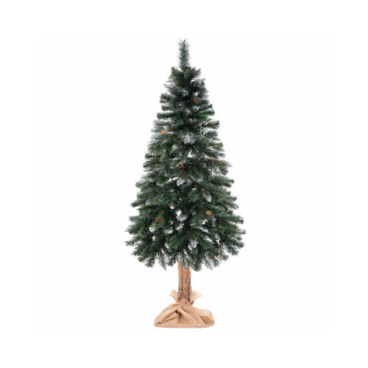 Vianočný stromček Borovica diamantová na kmienku 220 cm