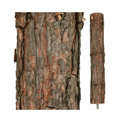 Vianočný stromček Borovica diamantová na kmienku 220 cm