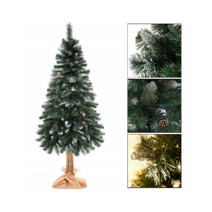 Vianočný stromček Borovica diamantová na kmienku 220 cm Vianočný stromček Borovica diamantová na kmienku 220 cm