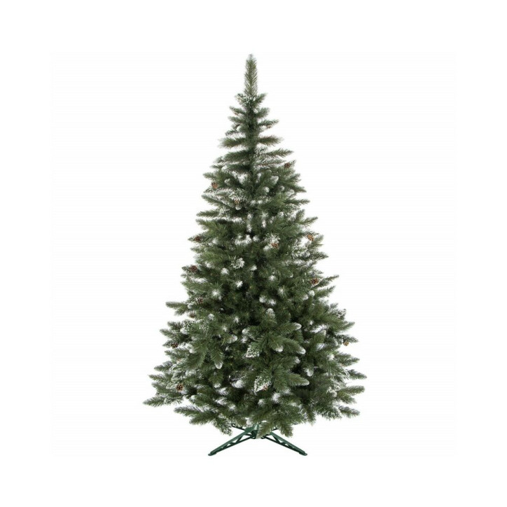 Vianočný stromček Borovica diamantová 250 cm