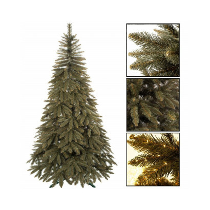 Vianočný stromček Smrek kaukazský 250 cm