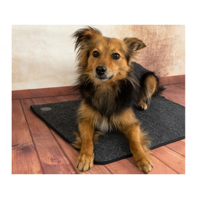 Výhrevná podložka pre psov THERMODOG 3523000 - vykurovací koberec 40x60cm