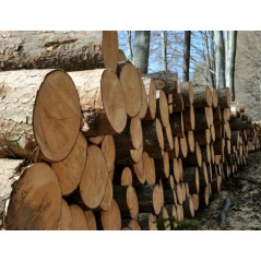 Štiepačka dreva GHS 1000/14TE-A