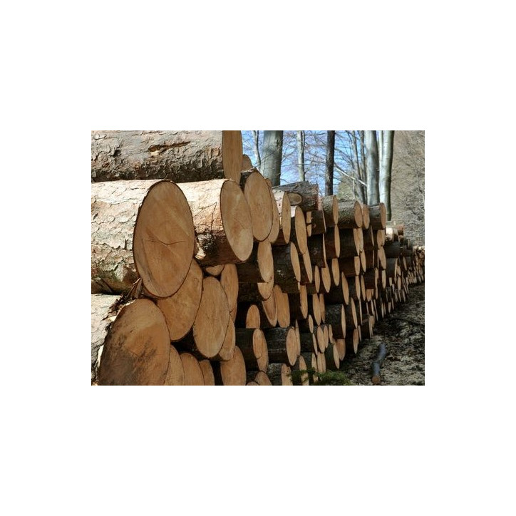 Štiepačka dreva GHS 1000/14TE-A