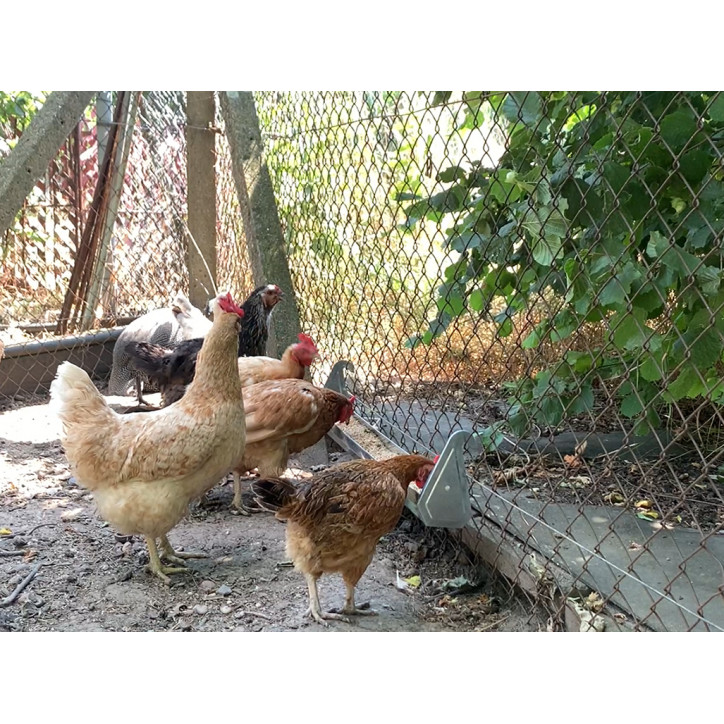 Závesné žľabové kŕmidlo pre kurčatá a prepelice plechové CF034.40 - 100 cm