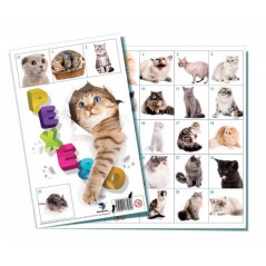 Pexeso Mačky spoločenská hra 32 obrázkových dvojíc