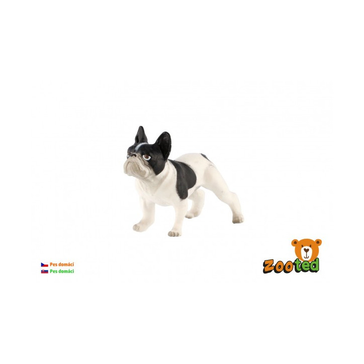 Francúzsky buldoček - pes domáci zooted plast 6cm v sáčku