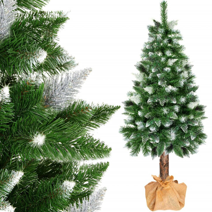 Vianočný stromček Borovica zasnežená na kmienku 160 cm Vianočný stromček Borovica zasnežená na kmienku 160 cm