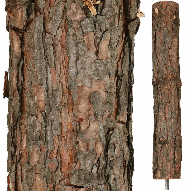 Vianočný stromček Borovica prírodná na kmienku 160 cm Vianočný stromček Borovica prírodná na kmienku 160 cm
