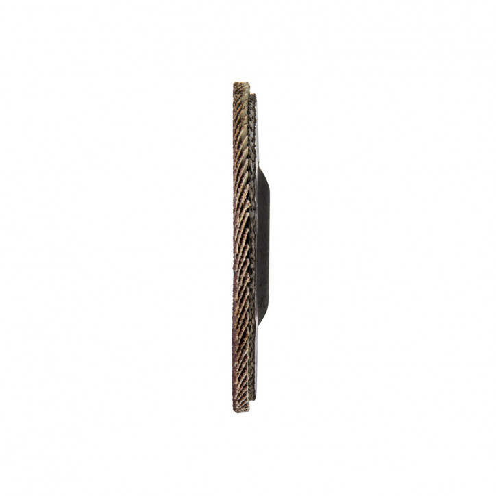 Lamelový vejárový brúsny kotúč 115 mm K80, 10 ks Lamelový vejárový brúsny kotúč 115 mm K80, 10 ks