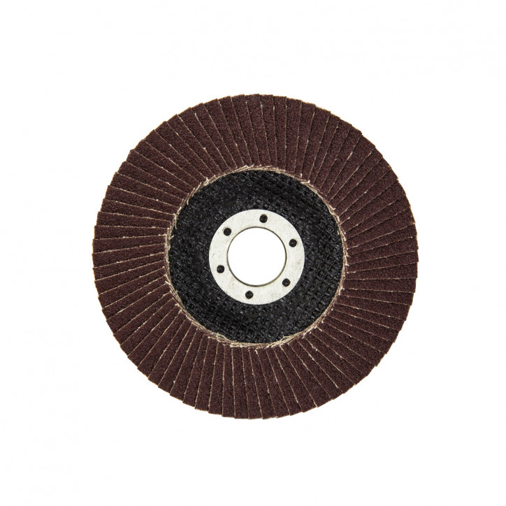 Lamelový vejárový brúsny kotúč 125 mm K80, 10 ks Lamelový vejárový brúsny kotúč 125 mm K80, 10 ks