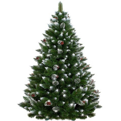 Vianočný stromček Borovica diamantová 200 cm