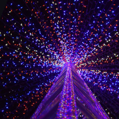 LED reťaz - 22m, 200LED, 8 funkcií, solar, IP44, multicolor