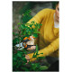 FISKARS Nožnice záhradné dvojčepeľové P961