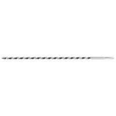 Hadovitý vrták 15x300 mm so šesťhrannou 1/4" stopkou