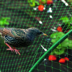 Sieť proti vtákom Birdnet 4x20 m zelená