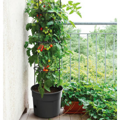 Kvetináč na pestovanie paradajok 39,2 cm Tomato Grower