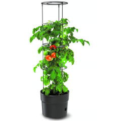 Kvetináč na pestovanie paradajok 39,2 cm Tomato Grower