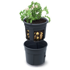 Kvetináč na pestovanie zemiakov 39,2 cm Potato Grower