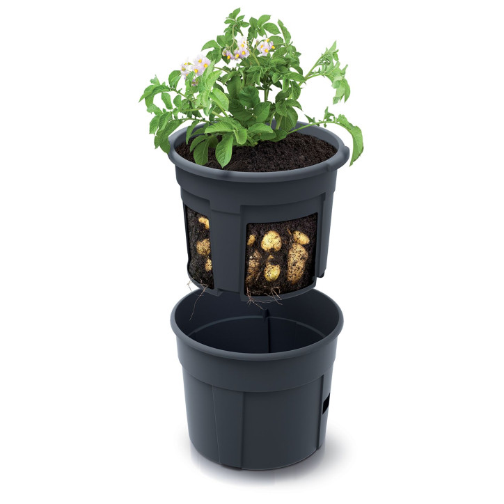 Kvetináč na pestovanie zemiakov 39,2 cm Potato Grower
