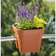 Balkónový kvetináč na zábradlie 29x29x24 cm Lobelia, terakota