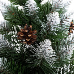 Vianočný stromček Borovica diamantová 150 cm
