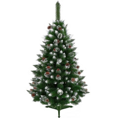 Vianočný stromček Borovica diamantová 150 cm