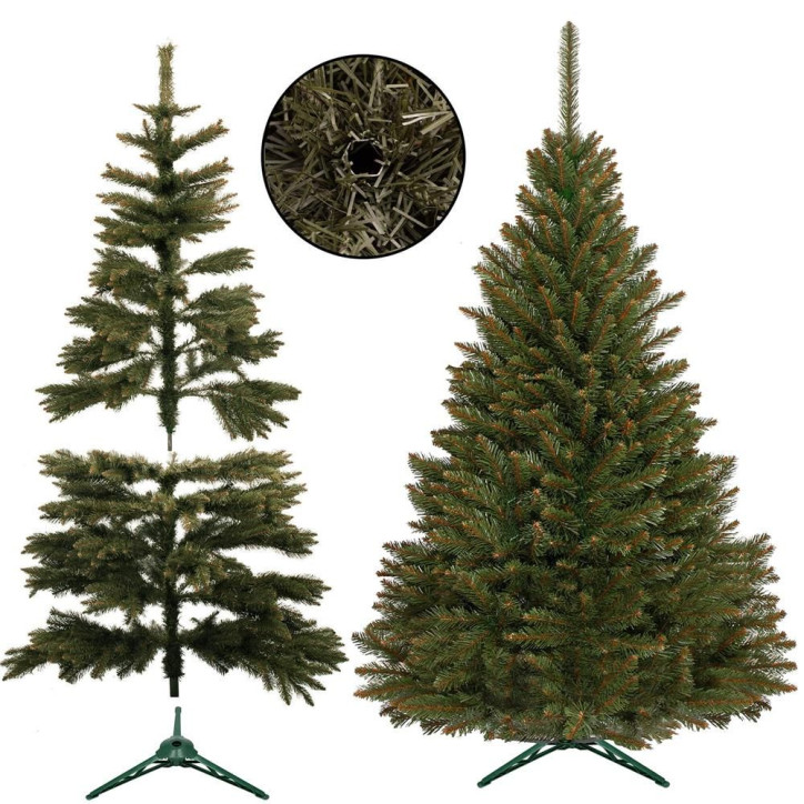 Vianočný stromček Smrek kaukazský 150 cm