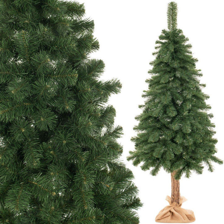 Vianočný stromček Borovica na kmienku 220 cm