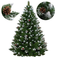 Vianočný stromček Borovica diamantová 220 cm