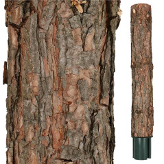 Vianočný stromček Borovica zasnežená na kmienku 160 cm