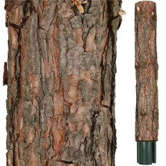 Vianočný stromček Borovica na kmienku 220 cm