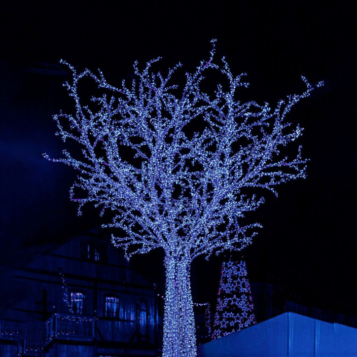 LED svetelná reťaz - 17,5m, 300LED, 8 funkcií, pamäť, IP44, modrá