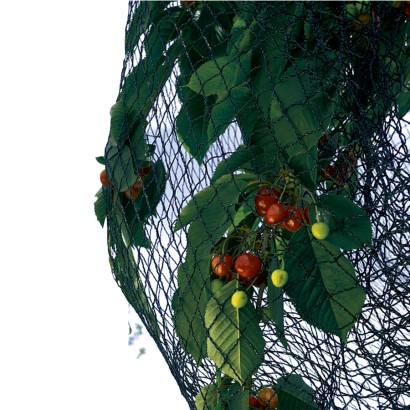 Sieť proti vtákom BIRDNET 4x5 m