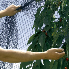 Sieť proti vtákom BIRDNET 4x5 m