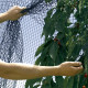 Sieť proti vtákom BIRDNET 4x5 m