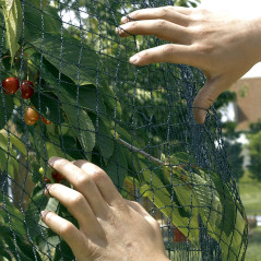 Sieť proti vtákom BIRDNET 4x5 m