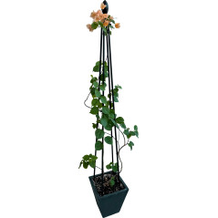 Opora pre ťahavé rastliny 180 cm, 4 nohy