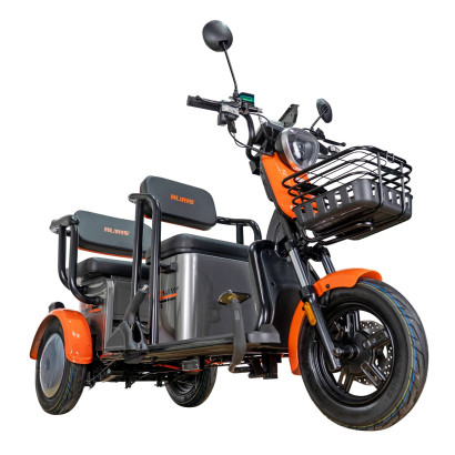 E-trojkolka PILOT 3020G, sivá