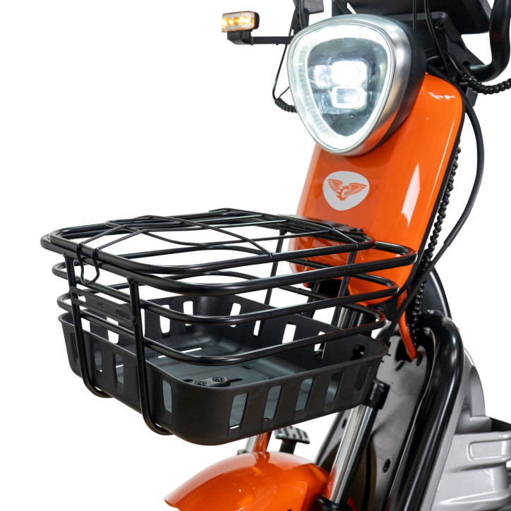 E-trojkolka PILOT 3020G, sivá