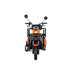 E-trojkolka PILOT 3020G, sivá