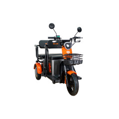 E-trojkolka PILOT 3020G, sivá