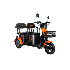 E-trojkolka PILOT 3020G, sivá