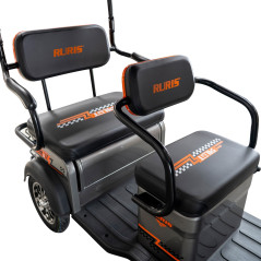 E-trojkolka PILOT 3070G, sivá