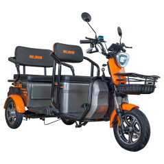E-trojkolka PILOT 3040G, sivá