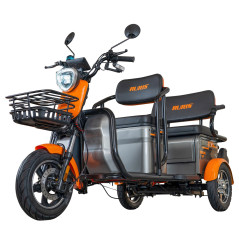 E-trojkolka PILOT 3040G, sivá