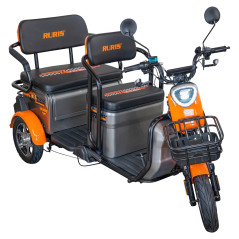 E-trojkolka PILOT 3040G, sivá