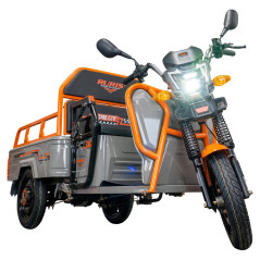 Nákladná e-trojkolka PILOT 3110G, sivá